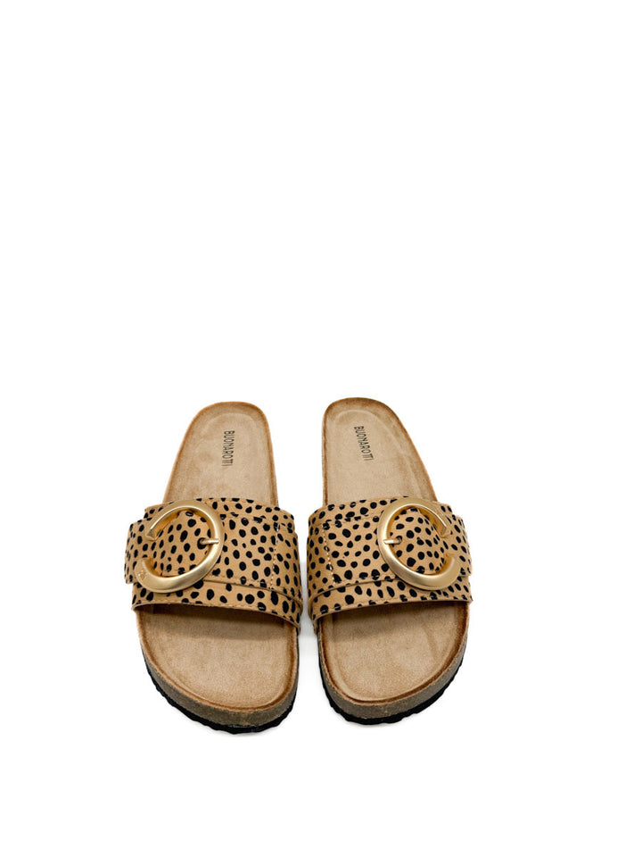 Sandalias Planas Elegantes con Hebilla Dorada