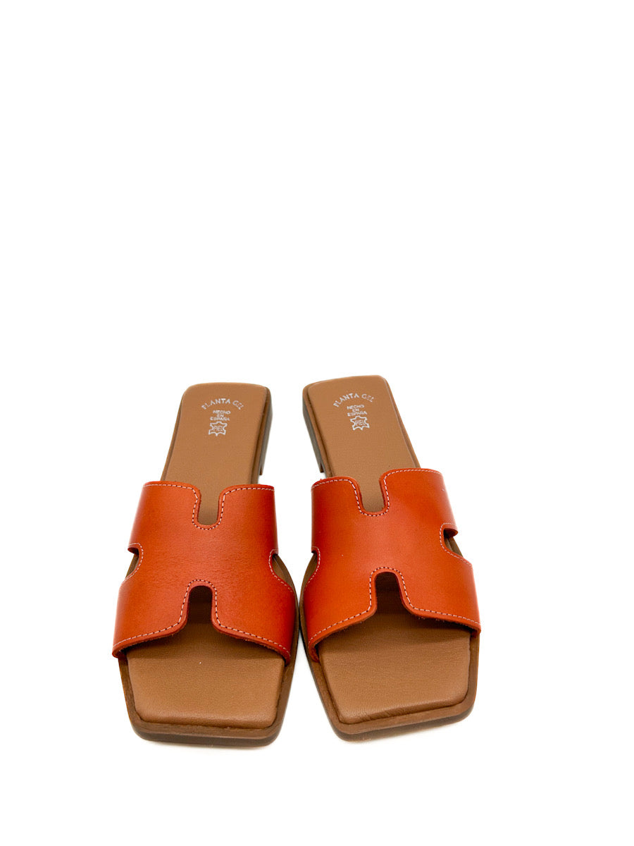 Sandalias Mules  Piel Mujer