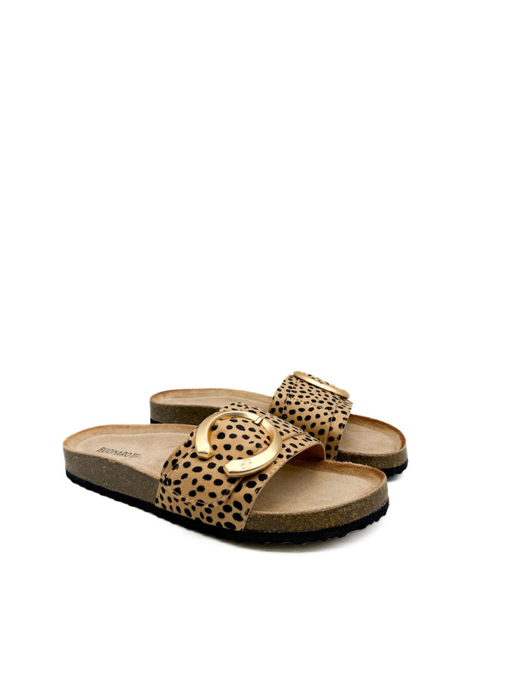 Sandalias Planas Elegantes con Hebilla Dorada