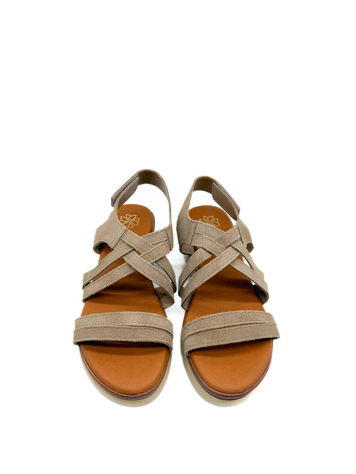 Sandalias Cuña de Piel Cierre Con Velcro