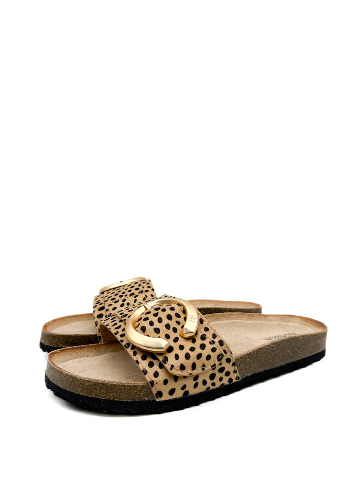 Sandalias Planas Elegantes con Hebilla Dorada